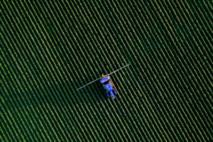 Cultivo verde con maquinaria