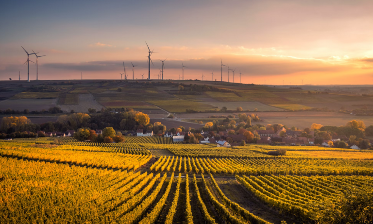 Energia renobable y naturaleza